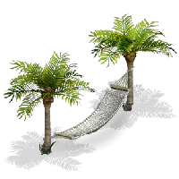 a hammock